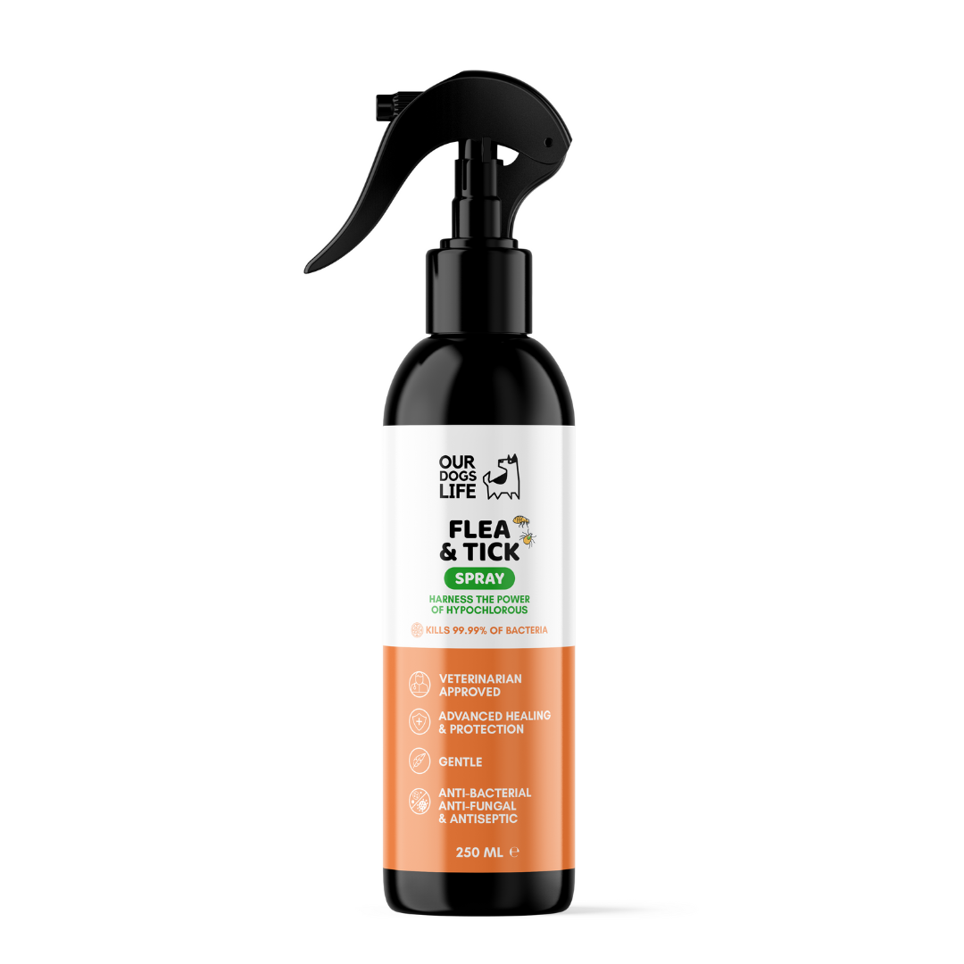 Vlooien- en Teken Spray voor honden