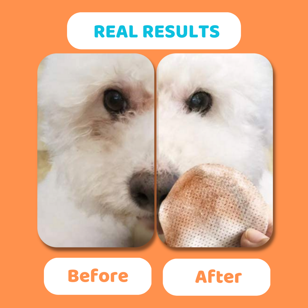Oogdoekjes voor honden