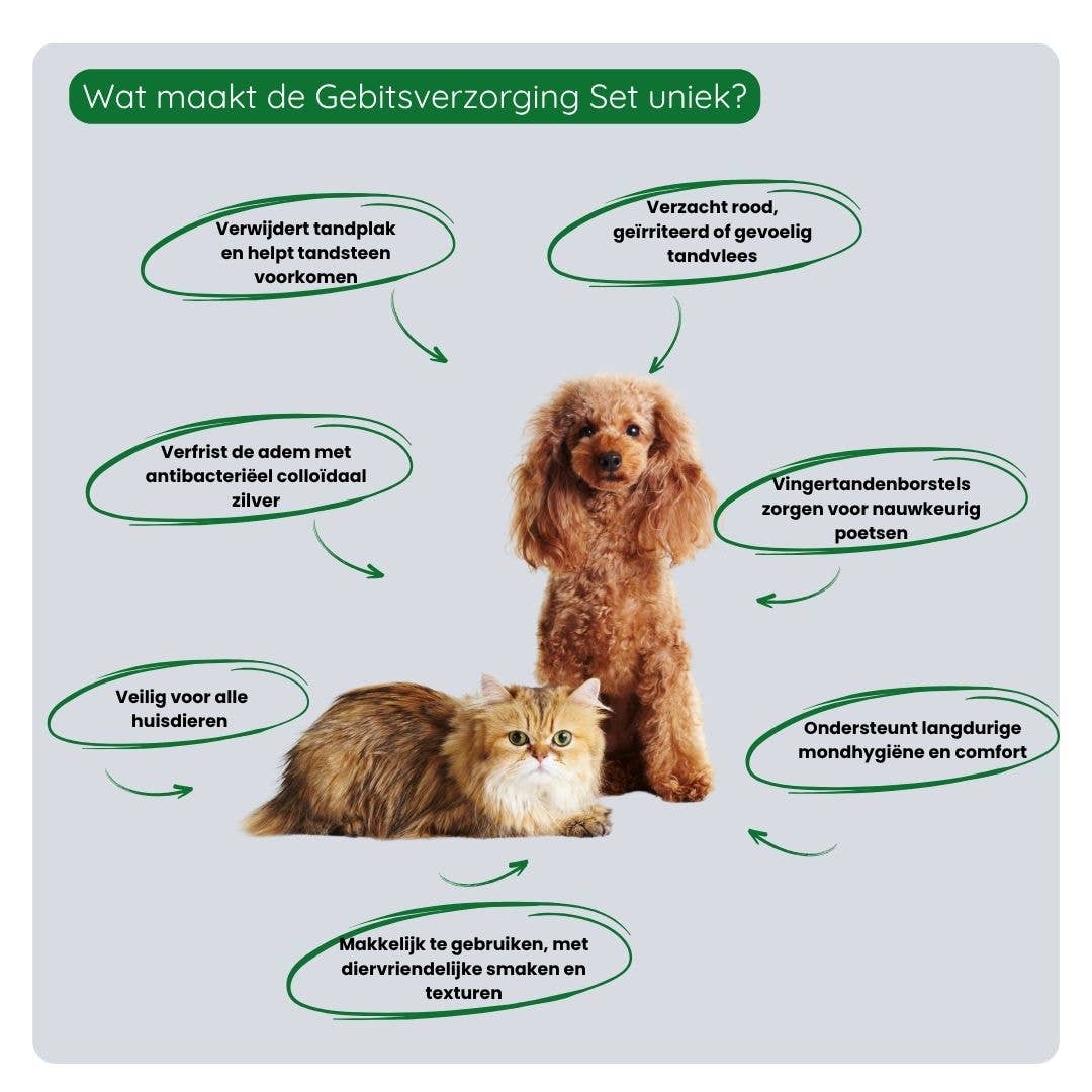 Gebitsverzorging set