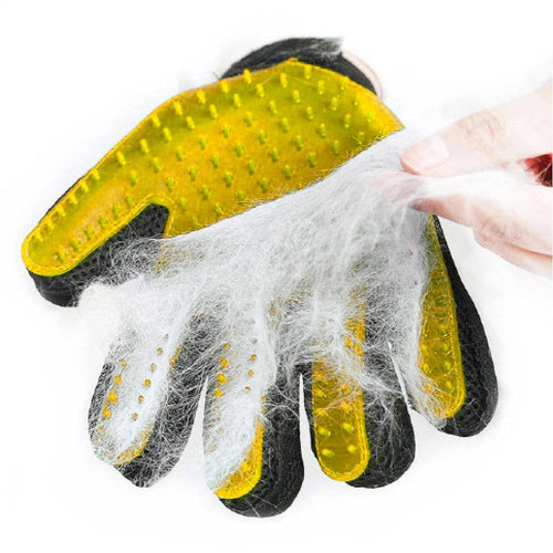 Gant épilateur pour votre Cocker Spaniel – Groomy de Croci
