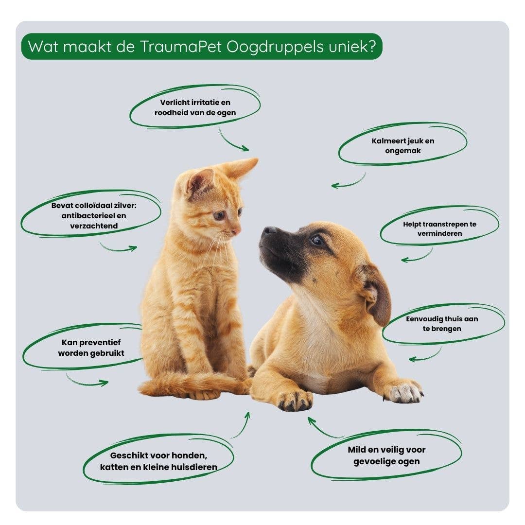Oogdruppels