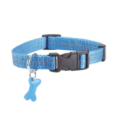 Collier Bobby Safe