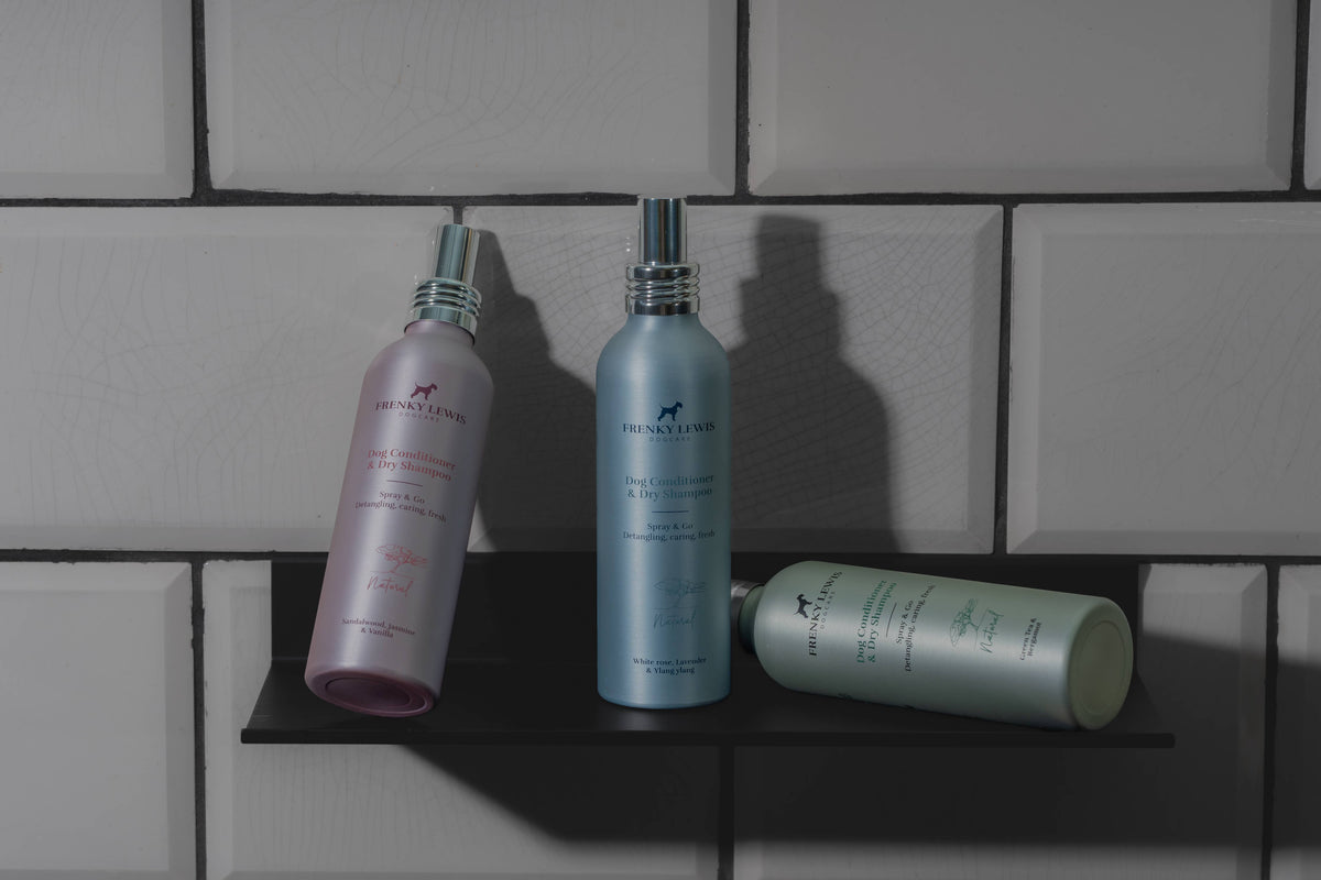 Dry Shampoo & Conditioner - Green Tea & Bergamot- 150ml