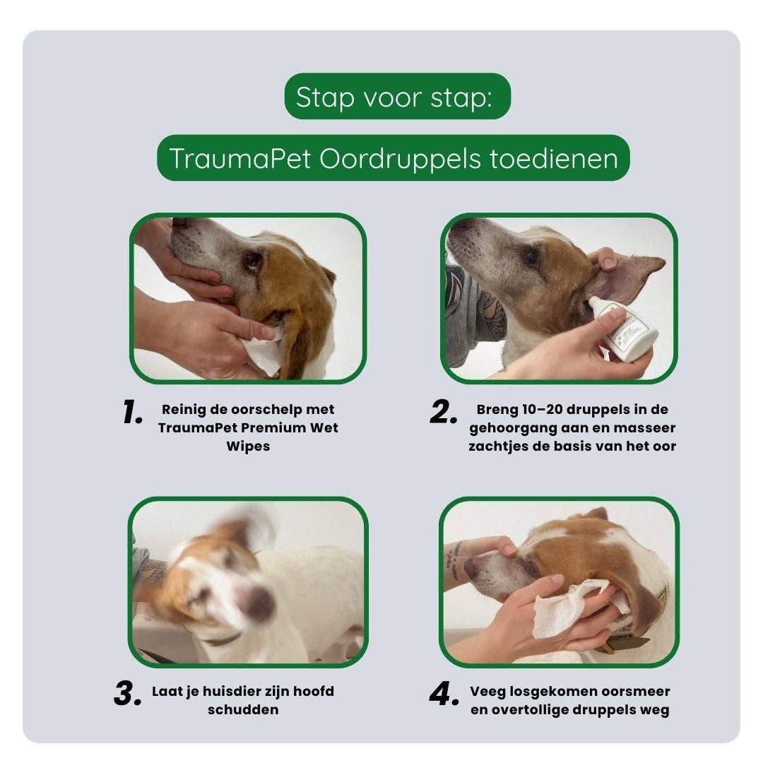 Oordruppels