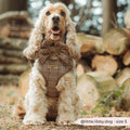 Pup Plaid Verstelbaar Instap Tuigje | Cocker Spaniël