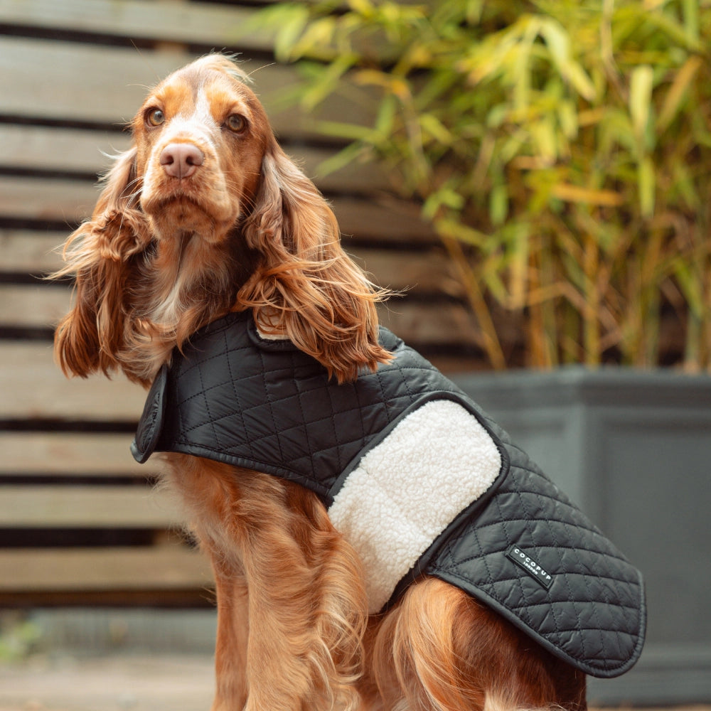 Luxe gewatteerde hondenjas – Middernachtzwart | Cocker Spaniel