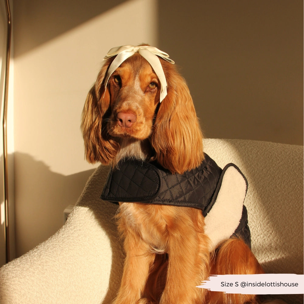 Luxe gewatteerde hondenjas – Middernachtzwart | Cocker Spaniel