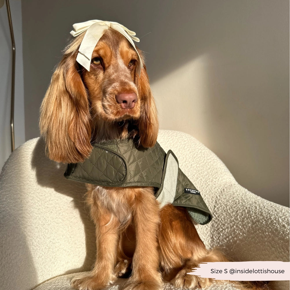 Manteau matelassé de luxe pour chien – Kaki Campagne | Cocker Spaniel