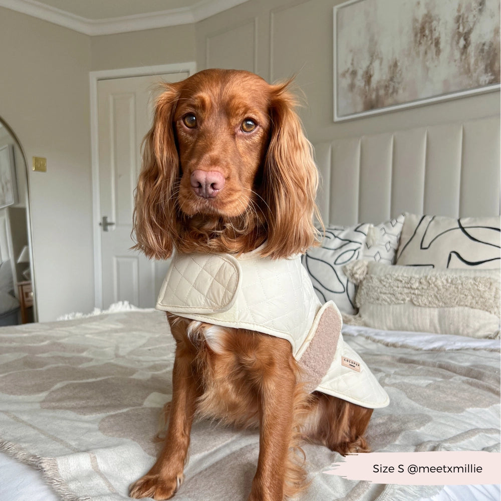 Luxe Quilted Dog Coat – Midnight Black | Cocker Spaniel