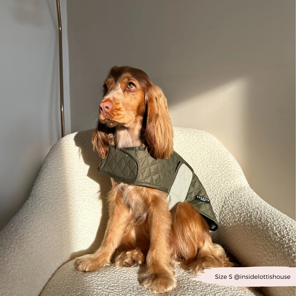 Manteau matelassé de luxe pour chien – Kaki Campagne | Cocker Spaniel